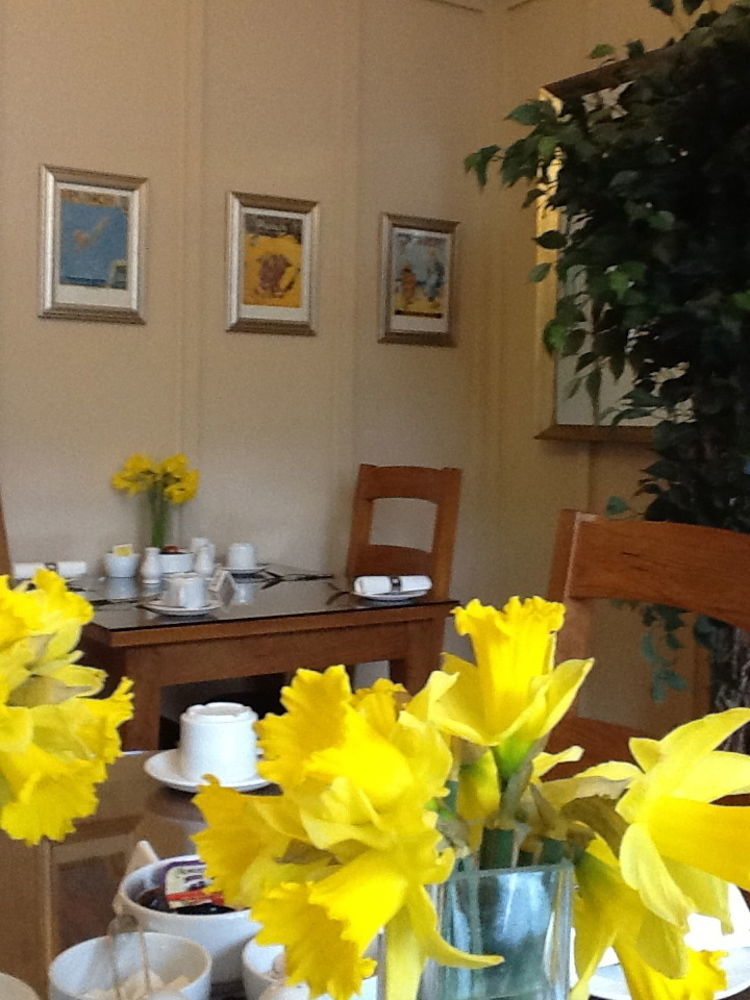 The Groveside Guest House Sidmouth Extérieur photo